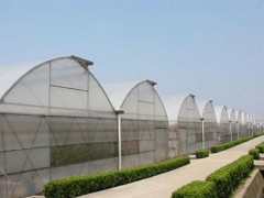 淄博溫室大棚建造 一流價格與專業(yè)服務(wù)解析
